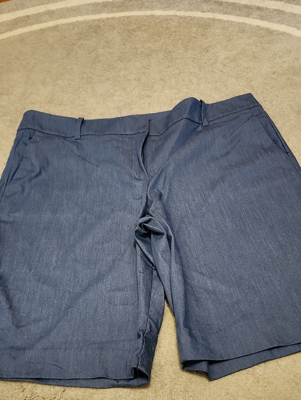 Ann Taylor Blue Boardwalk Shorts
